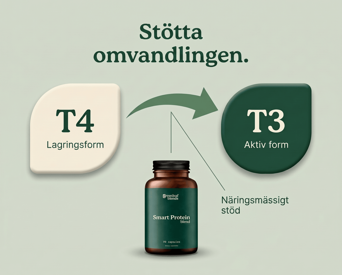 Stöttar naturlig T3-produktion.